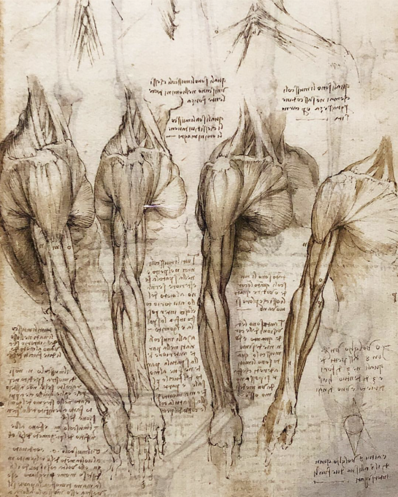 Leonardo Da Vinci: A Life In Drawing - SOYO